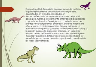 Es de origen fósil, fruto de la transformación de materia
orgánica procedente de zooplancton y algas que,
depositados en grandes cantidades en
fondos anóxicos de mares o zonas lacustres del pasado
geológico, fueron posteriormente enterrados bajo pesadas
capas de sedimentos. Se originaron a partir de restos de
plantas y microorganismos enterrados durante millones de
años y sujetos a distintos procesos físicos y químicos. La
transformación química (craqueo natural) debida al calor y a
la presión durante la diagénesis produce, en sucesivas
etapas, desde betún a hidrocarburos cada vez más ligeros
(líquidos y gaseosos). Estos productos ascienden hacia la
superficie, por su menor densidad, gracias a la porosidad de
las rocas sedimentarias.
 