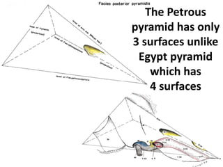For Other powerpoint presentatioins
of
“ Skull base 360° ”
I will update continuosly with date tag at the end as I am
getting more & more information
click
www.skullbase360.in
- you have to login to slideshare.net with Facebook
account for downloading.
 