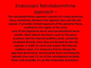 The anterior inferior cerebellar
artery is seen looping around the
acousticofacial bundle (AFB).
At a higher magnification a
prominent flocculus (Fl) is observed.
 