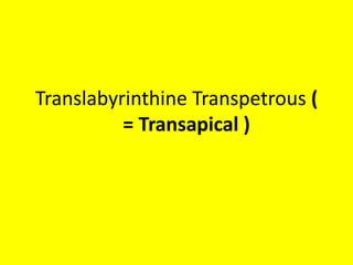 The distal part of the vertebral
artery (VA) can be seen.
The distal part of the vertebral
artery (VA) can be seen.
 