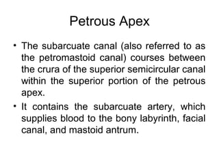 Petrous Apex
• The subarcuate canal (also referred to as
the petromastoid canal) courses between
the crura of the superior semicircular canal
within the superior portion of the petrous
apex.
• It contains the subarcuate artery, which
supplies blood to the bony labyrinth, facial
canal, and mastoid antrum.
 