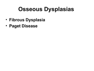 Osseous Dysplasias
• Fibrous Dysplasia
• Paget Disease
 
