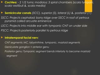  Cochlea: - 2 1/2 turns; modiolus; 3 spiral chambers (scala tympani,
scala vestibuli &. scala media)
 Semicircular canals (SCC), superior (S), lateral (L) &. posterior (1')
SSCC: Projects cephalad; bony ridge over SSCC in roof of petrous
pyramid called arcuate eminence
LSCC: Projects into middle ear with tympanic CN7 on under side
PSCC: Projects posteriorly parallel to petrous ridge
 Intratemporal facial nerv;
CN7 segments: lAC, labyrinthine, tympanic, mastoid segments
Geniculate ganglion = anterior genu
Posterior genu: Tympanic segment bends inferiorly to become mastoid
segment
 