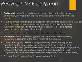Perilymph VS Endolymph
 Perilymph is one of the two types of cochlear fluids, the other being 
endolymph. It is located in the scala vestibuli and scala tympani of the 
cochlea.
 It is a clear fluid with an ionic composition very similar to cerebrospinal fluid as
the scala tympaniand scala tympani communicate directly with the 
subarachnoid space. It has a high level of sodium (Na+) and helps to
generate the endolymphatic potential.
--------------------------------------------------------------------------
 Endolymph is one of the two types of cochlear fluids, the other being 
perilymph. It is located in the scala media of the cochlea.
 It is secreted by the stria vascularis (colloquially called 'battery of the
cochlea') on the outer wall of the scala media. It has a high level of
potassium (K+) and generates a current called the endolymphatic potential,
with positivity inside the scala media and negativity outside its wall
(approximately 80 mV more positive than the perilymphatic compartment).
 The endolymph and perilymph do not communicate.
 