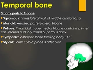 Temporal bone
5 bony parts to T-bone
Squamous: Forms lateral wall of middle cranial fossa
Mastoid: Aerated posterolateral T-bone
Petrous: Pyramidal shape medial T-bone containing inner
ear, internal auditory canal &. petrous apex
Tympanic: V-shaped bone forming bony EAC
Styloid: Forms styloid process after birth
 