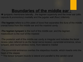 Boundaries of the middle ear :
 tympanic membrane laterally , the tegmen superiorly and the inner ear (ottic
capsule & promontory) medially and the jugular wall (floor) inferiorly
-The tegmen refers to a thin plate of bone that separates the dura of the middle
cranial fossa from the middle ear and the mastoid cavity
-The tegmen tympani is the roof of the middle ear, and the tegmen
mastoideum is the roof of the mastoid
-The posterior wall of the middle ear cavity is irregular and includes the facial
recess (also referred to as the facial nerve recess), pyramidal eminence, sinus
tympani, and round window niche, from lateral to medial
-The pyramidal eminence overlies the stapedius muscle, which inserts onto the
head of the stapes
** The tensor tympani muscle is lateral and parallel to the carotid canal
 