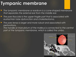 Tympanic membrane
 The tympanic membrane or eardrum is a cone-shaped membrane
that separates the external ear from the middle ear.
 The pars flaccida is the upper fragile part that is associated with
eustachian tube dysfunction and cholesteatoma.
 The pars tensa is larger and more rubust and associated with
perforations.
The handle or manubrium of the malleus is connected to the central
part of the tympanic membrane, which is called the umbo.
 