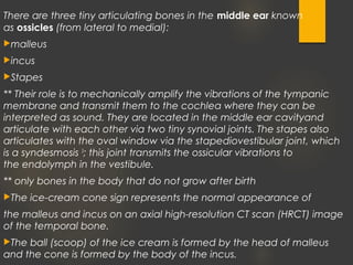 There are three tiny articulating bones in the middle ear known
as ossicles (from lateral to medial):
malleus
incus
Stapes
** Their role is to mechanically amplify the vibrations of the tympanic
membrane and transmit them to the cochlea where they can be
interpreted as sound. They are located in the middle ear cavityand
articulate with each other via two tiny synovial joints. The stapes also
articulates with the oval window via the stapediovestibular joint, which
is a syndesmosis 3
; this joint transmits the ossicular vibrations to
the endolymph in the vestibule.
** only bones in the body that do not grow after birth
The ice-cream cone sign represents the normal appearance of
the malleus and incus on an axial high-resolution CT scan (HRCT) image
of the temporal bone.
The ball (scoop) of the ice cream is formed by the head of malleus
and the cone is formed by the body of the incus.
 