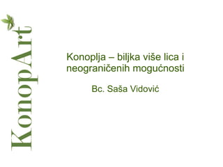 Konoplja – biljka više lica i
neograničenih mogućnosti
Bc. Saša Vidović
 