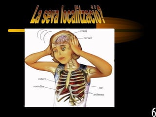 La seva localització?  6 