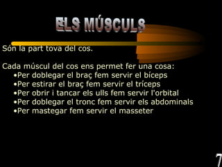 ELS MÚSCULS Són la part tova del cos.  Cada múscul del cos ens permet fer una cosa: Per doblegar el braç fem servir el bíceps Per estirar el braç fem servir el tríceps Per obrir i tancar els ulls fem servir l'orbital Per doblegar el tronc fem servir els abdominals Per mastegar fem servir el masseter 7 