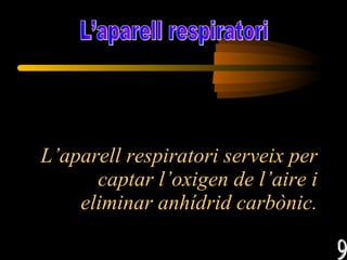 L’aparell respiratori serveix per captar l’oxigen de l’aire i eliminar anhídrid carbònic. L’aparell respiratori 9 