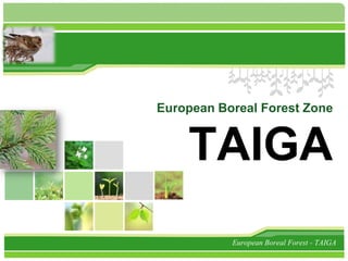 L/O/G/O




          European Boreal Forest Zone


              TAIGA
                     European Boreal Forest - TAIGA
 