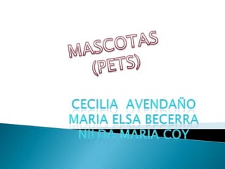 MASCOTAS  (PETS) Cecilia  avendaño Mariaelsa becerra Nildamaria coy 