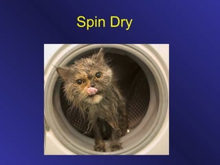Spin Dry
 