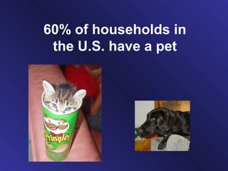 60% of households in
 the U.S. have a pet
 