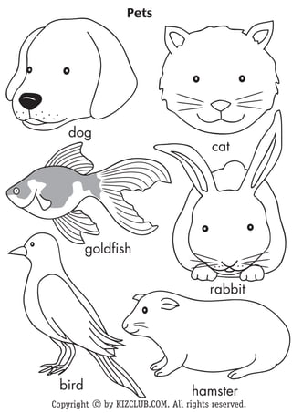 Pets




    dog
                                       cat




        goldfish

                                      rabbit




 bird                             hamster
Copyright c by KIZCLUB.COM. All rights reserved.