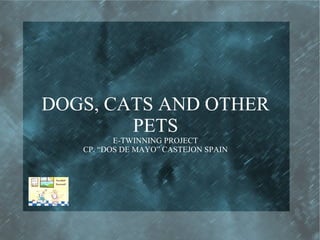 DOGS, CATS AND OTHER
        PETS
          E-TWINNING PROJECT
   CP. “DOS DE MAYO” CASTEJON SPAIN
 