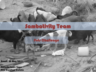 Sambativity Team
Pets Challenge
Brazil, 26 May 2013
Natasha Jones Zago
Ana Carolina Calixto
 