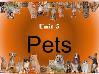 Unit 5
Pets
 