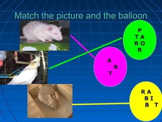 Match the picture and the balloonMatch the picture and the balloonMatch the picture and the balloonMatch the picture and the balloon
P
T A
R O
R
A
R
T
R A
B I
B T
 