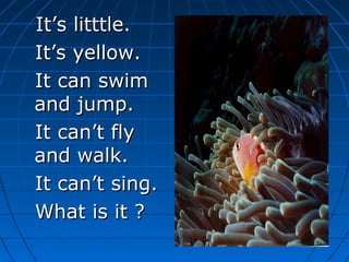 It’s litttle.It’s litttle.
It’s yellow.It’s yellow.
It can swimIt can swim
and jump.and jump.
It can’t flyIt can’t fly
and walk.and walk.
It can’t sing.It can’t sing.
What is it ?What is it ?
 