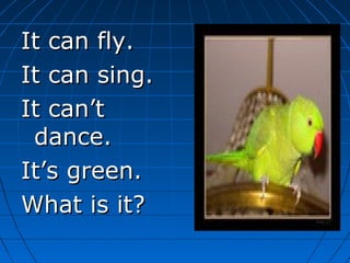 It can fly.It can fly.
It can sing.It can sing.
It can’tIt can’t
dance.dance.
It’s green.It’s green.
What is it?What is it?
 