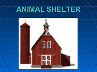ANIMAL SHELTERANIMAL SHELTER
 