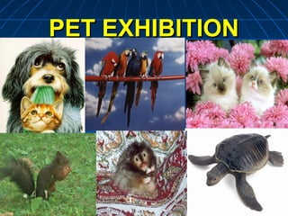 PET EXHIBITIONPET EXHIBITION
 