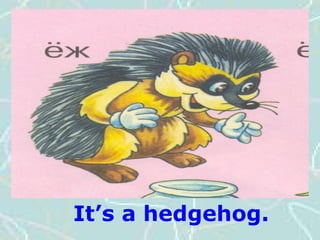 It’s a hedgehog.It’s a hedgehog.
It’s a hedgehog.
 