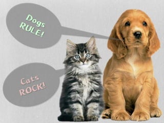 Pets by Eddie (Why everyone should have a pet)