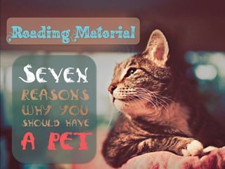 Pets by Eddie (Why everyone should have a pet)