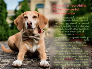 Pets by Eddie (Why everyone should have a pet)