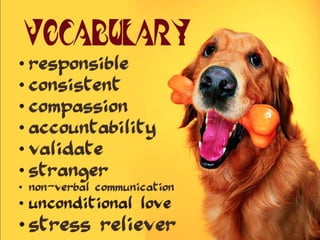 Pets by Eddie (Why everyone should have a pet)