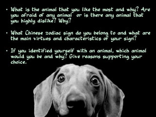 Pets by Eddie (Why everyone should have a pet)