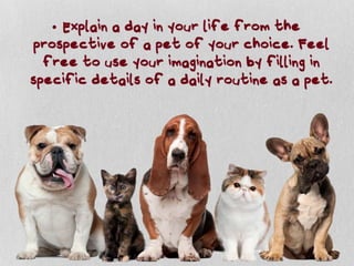 Pets by Eddie (Why everyone should have a pet)