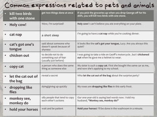Pets by Eddie (Why everyone should have a pet)