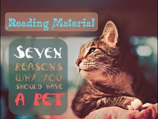 Pets by Eddie (Why everyone should have a pet)