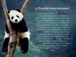 Pets by Eddie (Why everyone should have a pet)