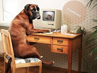 Pets by Eddie (Why everyone should have a pet)