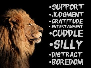 Pets by Eddie (Why everyone should have a pet)