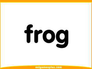 Flash Card Từ Vựng TOEIC Theo Chủ Để | Chủ đề Pets