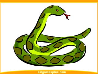 Flash Card Từ Vựng TOEIC Theo Chủ Để | Chủ đề Pets