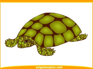 Flash Card Từ Vựng TOEIC Theo Chủ Để | Chủ đề Pets