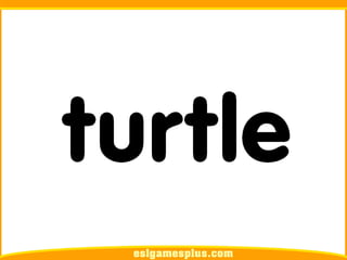 Flash Card Từ Vựng TOEIC Theo Chủ Để | Chủ đề Pets