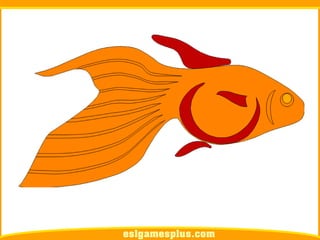 Flash Card Từ Vựng TOEIC Theo Chủ Để | Chủ đề Pets