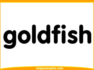 Flash Card Từ Vựng TOEIC Theo Chủ Để | Chủ đề Pets