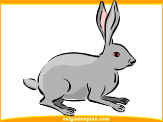 Flash Card Từ Vựng TOEIC Theo Chủ Để | Chủ đề Pets