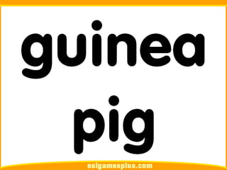 Flash Card Từ Vựng TOEIC Theo Chủ Để | Chủ đề Pets