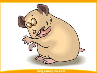 Flash Card Từ Vựng TOEIC Theo Chủ Để | Chủ đề Pets